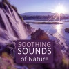 Universe of Nature Orchestra - Stress Relief