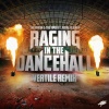 Endymion、The Viper、FERAL is KINKY《Raging in the Dancehall (Vertile Remix)》[MP3/LRC]