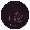 Bexu、Cristi Jurcan - Grok (Instrumental)