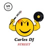 Carles Dj - Woods