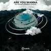 Phil Phauler - Are You Wanna