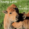Pete Rose - Young Love
