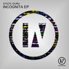 Static Guru - Incognita