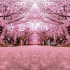 吴琬 - 诗意如画