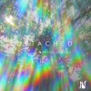 Natalie Luengo - Detached