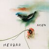 Arsen Dedic - Herbar