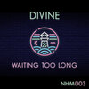 DiVine (NL) - Waiting Too Long (Original Mix)