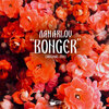 Dan Arlov - Bonger (Original Mix)