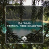 Delaise - The Moonlight's Show (DJ VoJo Remix)
