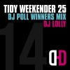 The Tidy Boys - Intro (MixCut)