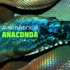 Asimétrica、Konducta  Beats - Anaconda