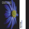 Max Fane - Like A Drum (OriginalMix)