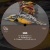 Selva - Synth Dealer (Original Mix)