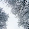 Canções de Natal、Christmas Songs for Kids All Stars、Christmas Celebrities - Tiny Tots with Their Eyes All A-Glow