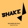 Riccardo De Polo - Make Me Fool (Original Mix)