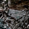 Mattias Fridell、Alexander Johansson - Besutten & Bespottad