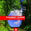 Sfaction Project - Forest Open (Original Mix)