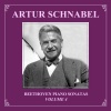Artur Schnabel - I. Allegro assai