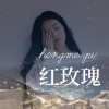 苏婉婉 - 花火 (Remix)