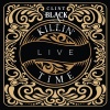 Clint Black - Killin' Time (Live)