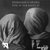 Diarmaid O Meara - Pow In The Kisser (Original Mix)