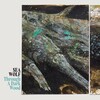Sea Wolf、Alex Brown Church - Forward