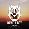 David T Boy - Face It (Original Mix)