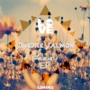 Andre Salmon、Chris C. - Skeleton Joint (Extended Mix)