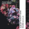 G.LEF - Keys of Life (OriginalMix)