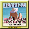 Joybiza - Xtra Noise (Cut Version)