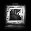Daniele Papini、Francesco Assenza - Where You Didn´t Sleep Last Night