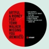 Artful & Ridney、Terri Walker - Missing You (Eric Kupper's Director's Cut Tribute to FK' Mix)