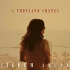 Cigdem Aslan - Καρδιοκλέφτρα