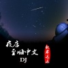 歌者达达《车载DJ劲爆嗨曲 (DJ版)》[MP3/LRC]