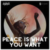 JEFFK - Peace Is What You Want (ExtendedMix)