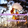 DJ宇轩Remix、龙梅子 - 记忆里的雪 (DJ宇轩2020Remix蓝调版)