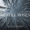 steep canyon rangers、Asheville Symphony - Radio