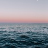 Relaxing Music Therapy、Study Concentration、Mindfulness Mediation World - Calmness