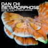 Dan Chi - Metamorphose (The Electronic Advance Remix)