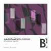 junior sanchez、OVEOUS《Echoes Of Dance (Original Mix)》[MP3/LRC]