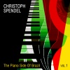 Christoph Spendel - Desafinado