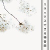 ひかり 佐凪 - リラックスできる禅音楽