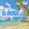 DJ Indigo - Tropicana (Original Mix)