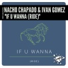 Nacho Chapado、Ivan Gomez《If U Wanna (Ride)(Original Mix)》[MP3/LRC]