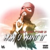 SLEEZY MONEY、Dubb 20 - How U Want It (Single(Explicit))