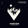 Dizzko Bizkit - Skeleton (Original Mix)