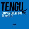 Tengu、Pavv、TZ - Slowly Breathing