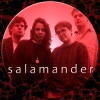 Salamander - Cherry Llama