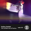 Halley Seidel - The Number One of Techno (Original Mix)