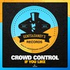 Crowd Control - If You Like (Original Mix)
